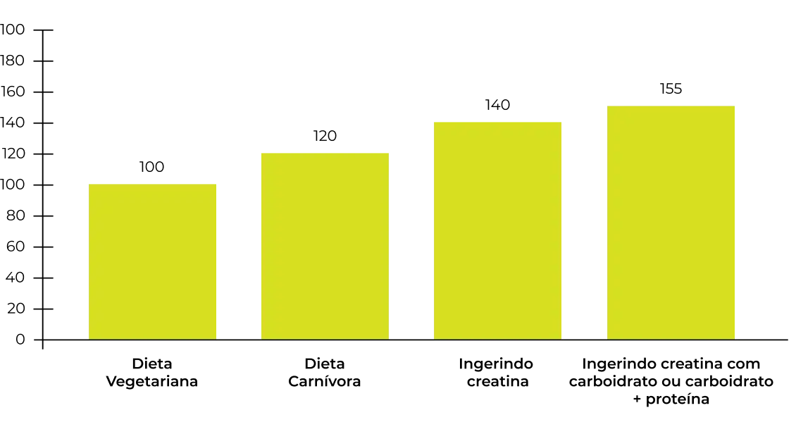 Gráfico de estoque totais de creatina muscular